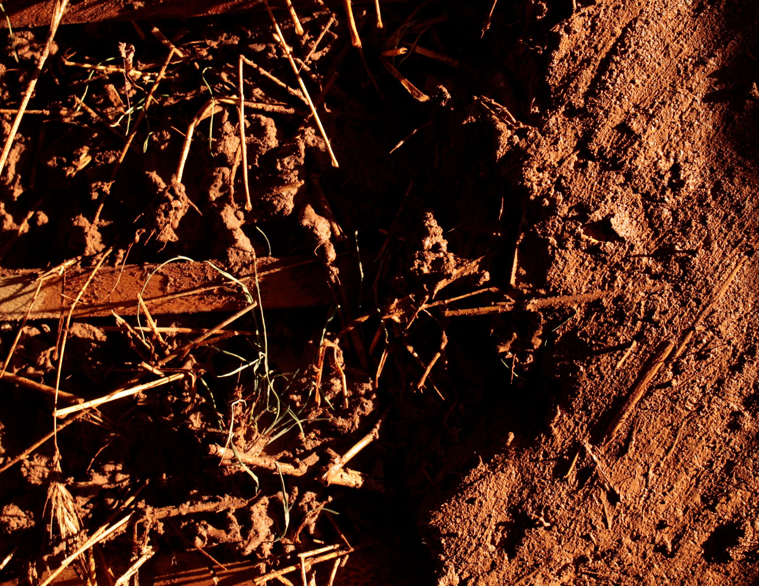 Paneles aislantes térmicos